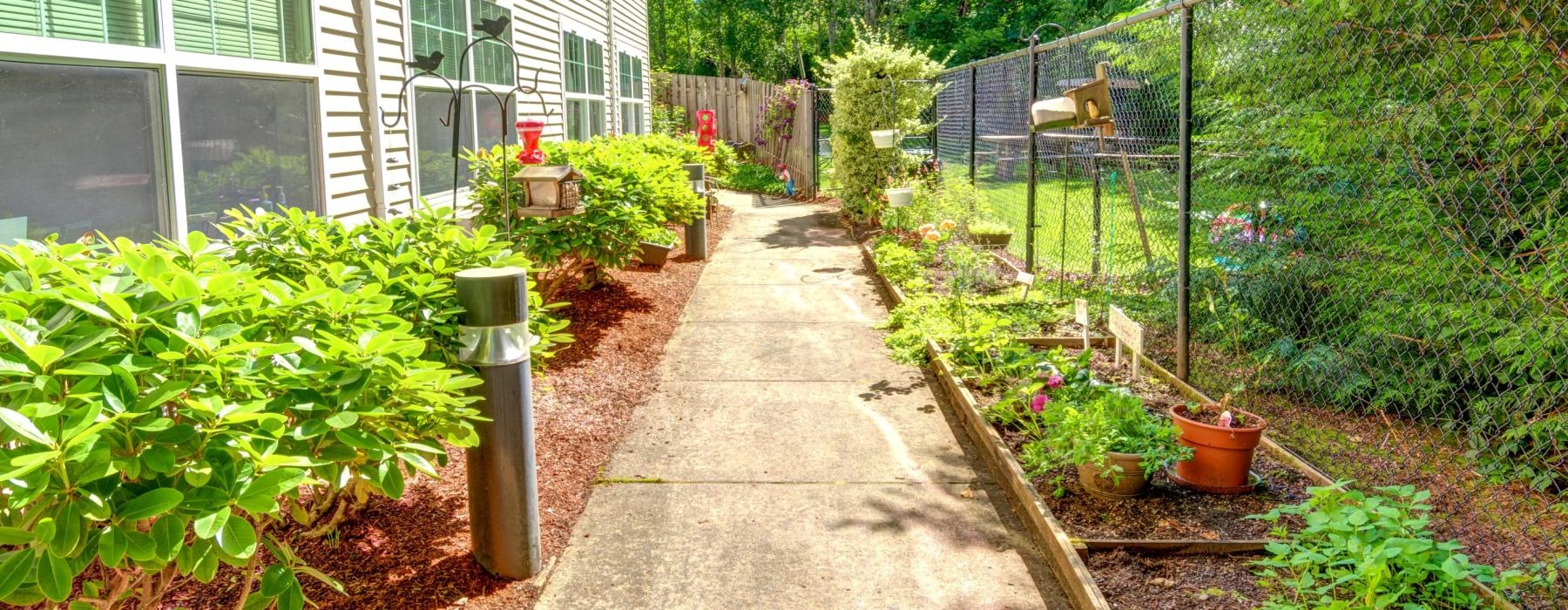 a path with plants and a fence