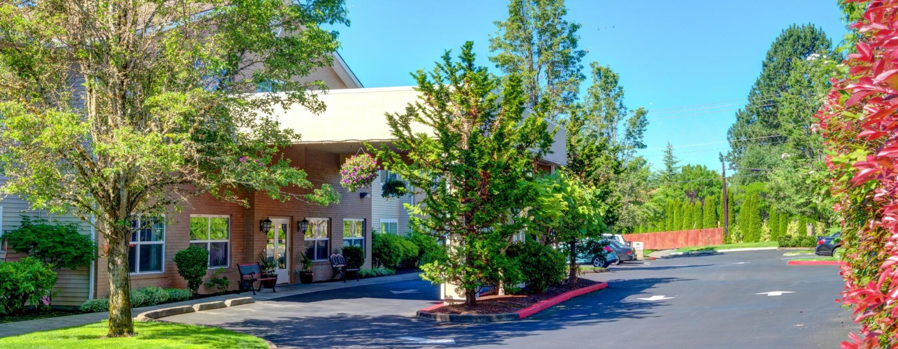 a street with trees and buildings