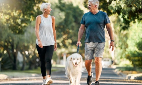 a man and a woman walking a dog on a leash