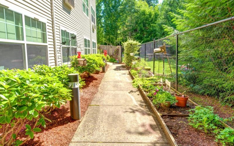 a path with plants and a fence